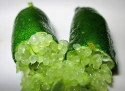 Finger Lime Fruit Seeds for Planting
