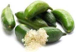 Finger Lime Fruit Seeds for Planting