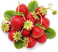 Fragaria vesca Fruit Seeds