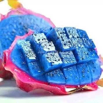 Fresh Blue Pitaya Fruit Seeds for Planting