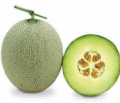 Fresh Green Cantaloupe Fruit Seeds for Planting
