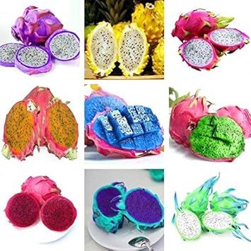 Fresh Light Green Pitaya Fruit Seeds for Planting