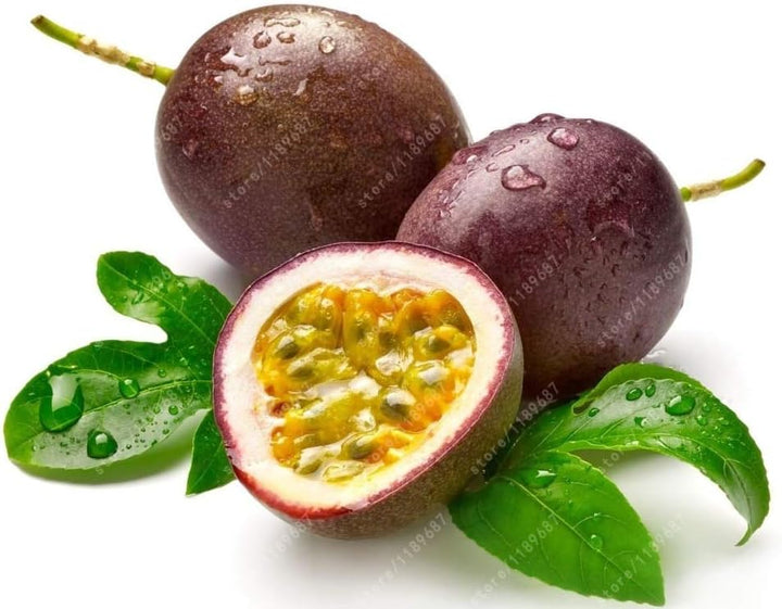 Fresh Passion Fruit Seeds for Planting