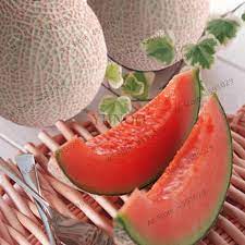 Fresh Pink Cantaloupe Melon Fruit Seeds for Planting