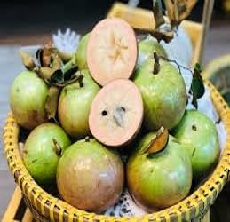 Fresh Vietnam Milk Melon Fruit Seeds for Planting
