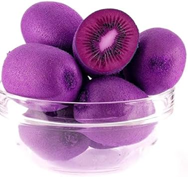 Fresh Violet Kiwi Fruit Seeds for Planting