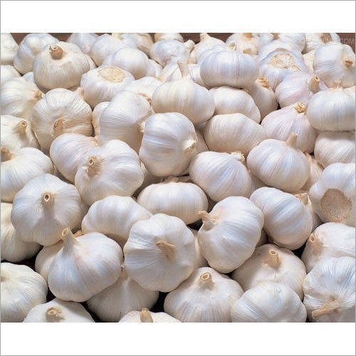 White Rocambole Garlic Seeds for Planting - 100 pcs