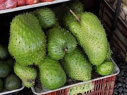 Giant Soursop Fruit Seeds