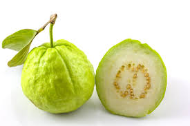 Giant Vietnamese Guava Fruit Seeds for Planting