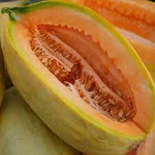 Gold Banana Melon Fruit Seeds for Planting