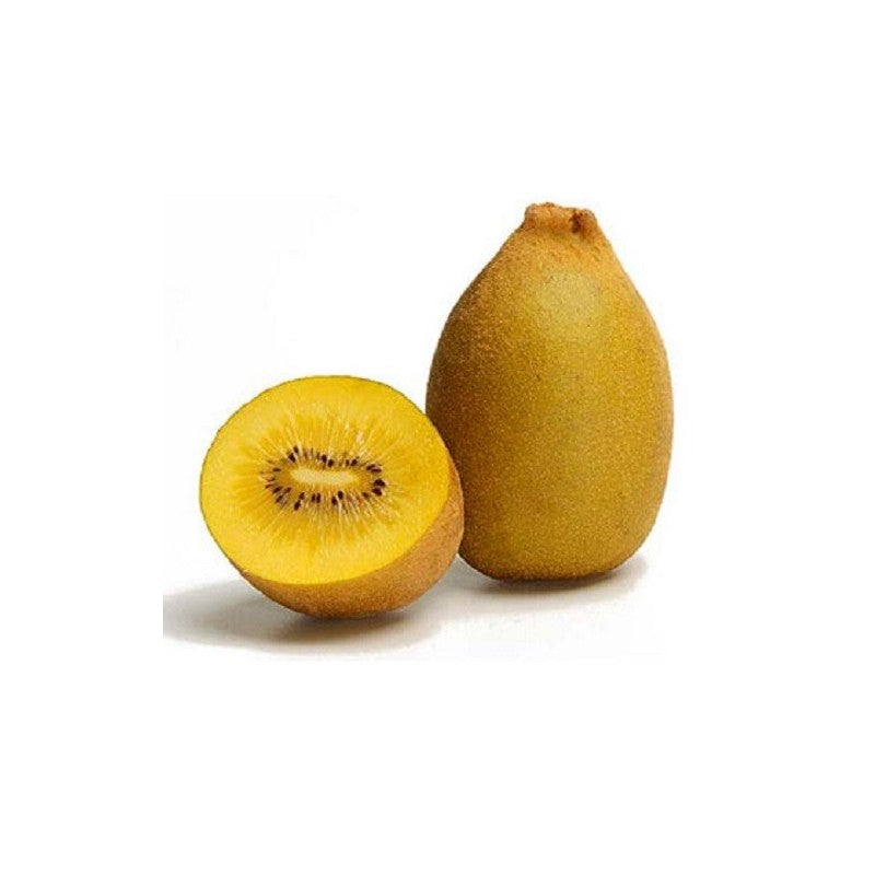 Golden Yellow Kiwi Fruit Seeds for Planting - Grow Sweet, Tangy Yellow Kiwis in Your Backyard