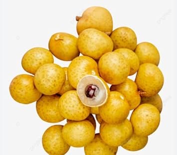 Golden Yellow Longan Fruit Seeds