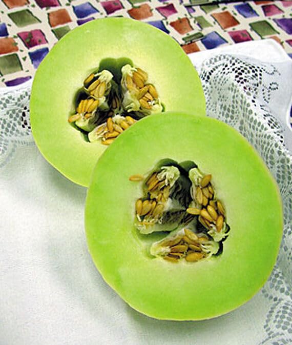 Green Flesh Honeydew Melon Seeds