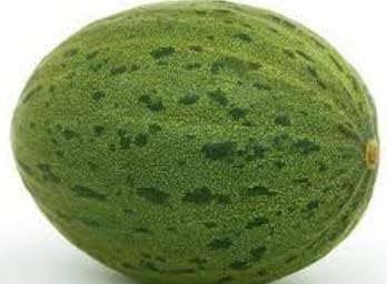 Green Hami Melon Fruit Seeds for Planting