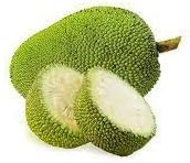 Green Jackfruit Seeds for Planting