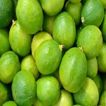 Green Lemon Fruit Seeds for Planting