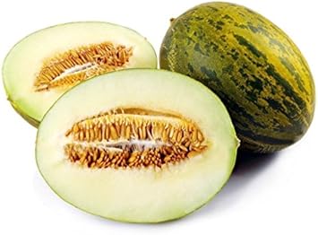 Green Toadskin Melon Fruit Seeds for Planting | Heirloom Non-GMO Organic Seeds for Exotic, Unique Melons