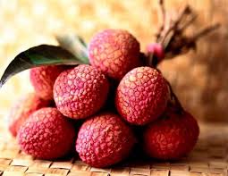 Hak Ip (Black Leaf) Lychee Fruit Seeds for Planting