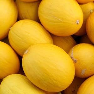 Hami Melon Fruit Seeds