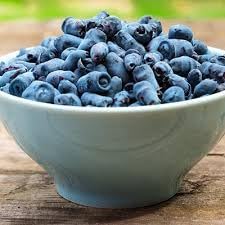 Haskap Fruit Seeds for Planting