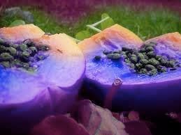 Heidelbeeren Fruit Seeds for Planting | Heirloom Non-GMO Organic Seeds for Delicious, Healthy Blueberries
