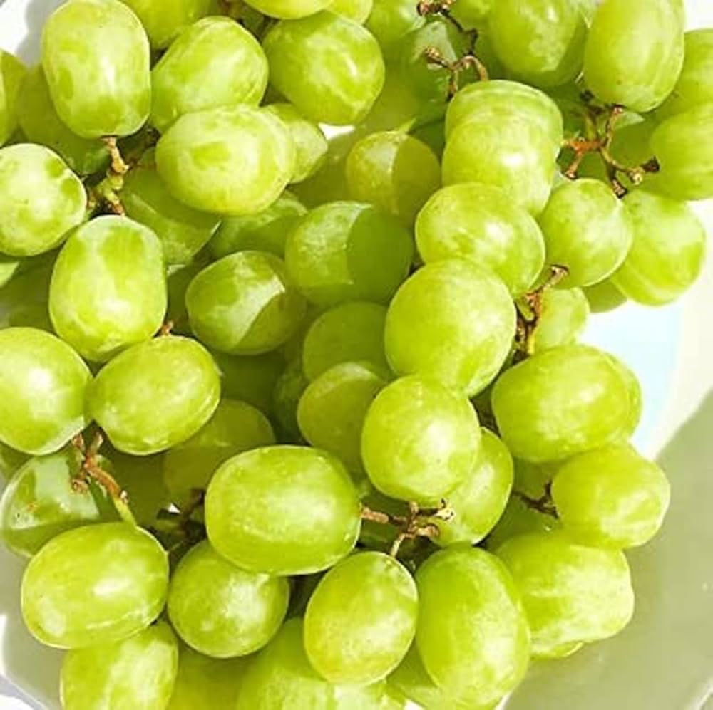 Heirloom Cotton Candy Grapes Fruit Seeds for Planting