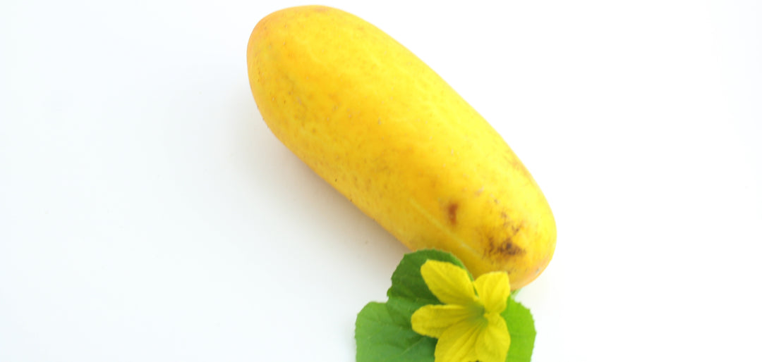 Heirloom Cucumber Grape Jelly Seeds for Planting