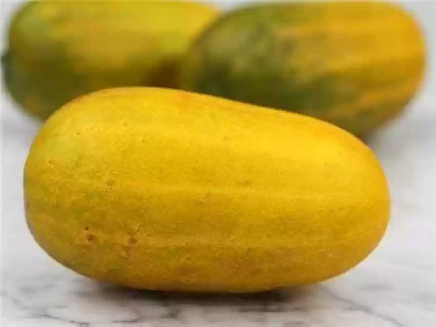 Heirloom Cucumber Grape Jelly Seeds for Planting