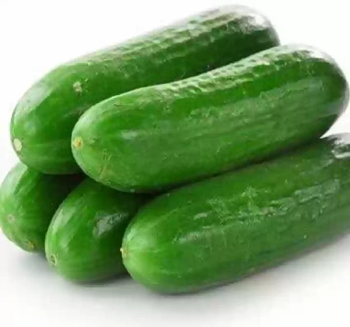 Heirloom Cucumber School Baby F1 Seeds for Planting