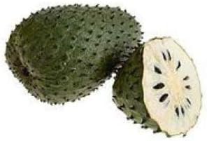 Heirloom Mixed Soursop Fruit Seeds for Planting
