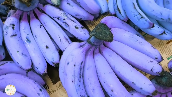 Banana Fruit Seeds for Planting - Violet Variety for Unique Tropical Fruits