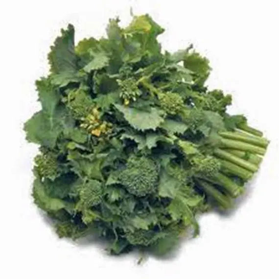 Broccoli Raab Seeds for Planting – Heirloom, Non-GMO, Fast-Growing Italian Sprouting Greens
