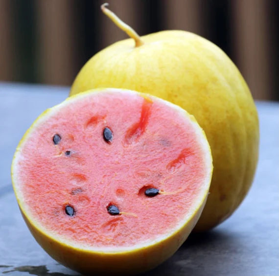 Gule vandmelonfrugtfrø - en unik, sød og forfriskende vandmelon 100 stk.