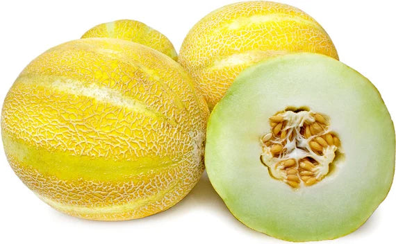 Lemon Drop Melon Seeds for Planting - Sweet, Citrusy Melons for Your Garden, Heirloom and GMO Free Seeds