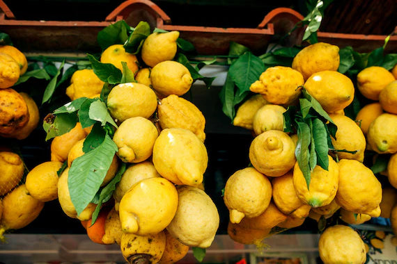 Italian Amalfi Lemon Fruit Seeds for Planting - Perfect for Limoncello & Fresh Juices