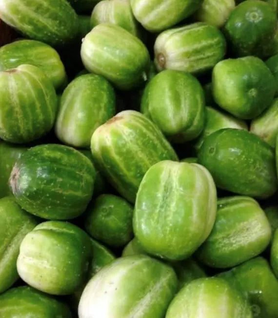 Richmond Green Cucumber Seeds for Planting – Heirloom, Non-GMO, Crisp &amp; Productive Variety