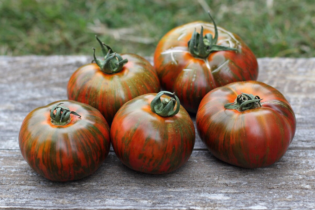 Chocolate Stripes Tomato Seeds for Planting - 100 pcs