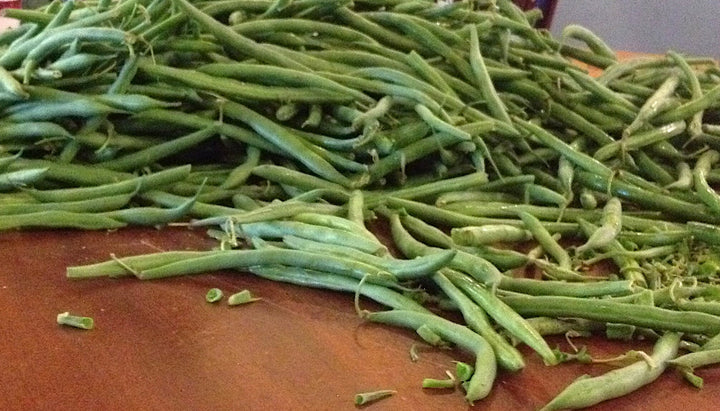 Stringless Bean Vegetable Seeds for Planting – Heirloom, Non-GMO, High Germination, Organic Garden Seeds