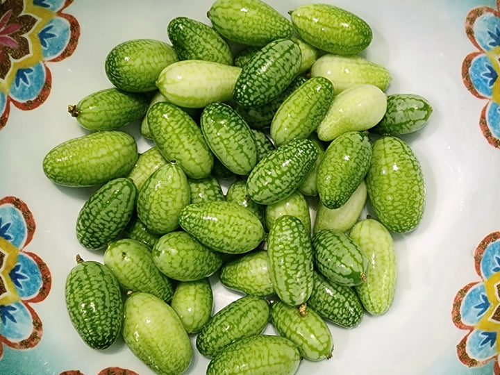 Cucamelon frø (grøn scabra) grøntsagsfrø til plantning - 100 stk.