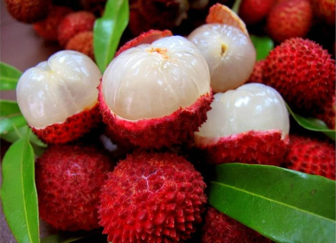 Røde litchi-frugtfrø til dyrkning af søde og eksotiske litchi-frugter 100 stk.