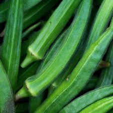 Okra Vegetable Seeds for Planting – Lush Green Variety  100 pcs