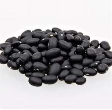 Black Turtle Pole Bean Vegetable Seeds for Planting heirloom & Non-GMO Seeds