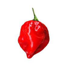 Red Hot Habanero Pepper Vegetable Seeds for Planting - 100 pcs