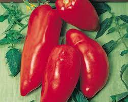 Opalka Tomato Seeds for Planting – Heirloom, Non-GMO, High Germination Organic Vegetable Garden Seeds