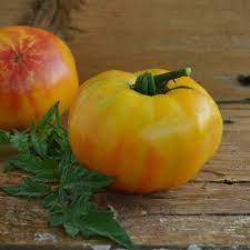 Gold Tomato Seeds for Planting heirloom & Non-GMO Seeds