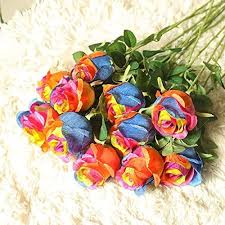 rainbow rose bush seeds Rainbow Rose For Diy Garden Beautiful Striped Bushes Flower Seeds for Decorative Organic – Neeraseeds