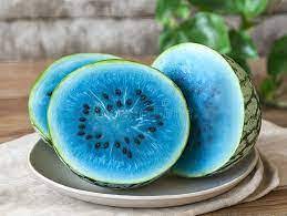 Sky Blue Watermelon Fruit Seeds for Planting – Easy to Grow, High-Yielding, Heirloom, Non-GMO Organic Garden Seeds