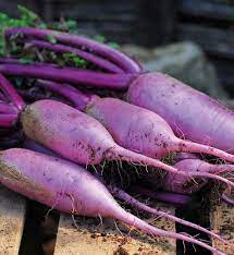 Heirloom Bluemoon Radish Vegetable Seeds for Planting