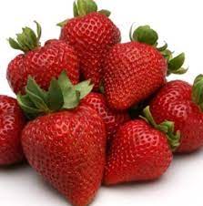 Eversweet Everbearing Strawberry Seeds for Planting - Organic, Heirloom, Non-GMO  seeds for Home Garden