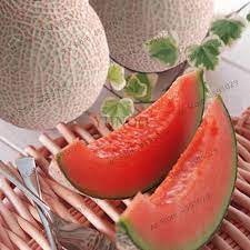 Fresh Pink Cantaloupe Melon Fruit Seeds for Planting -Heirloom Seeds